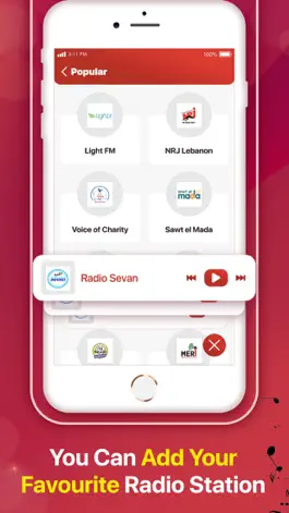 Game screenshot Live Lebanon Radio Stations hack