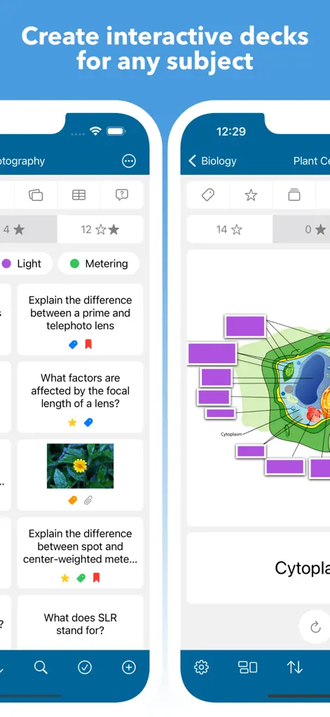 Mighty Flashcards - Education App | MWM