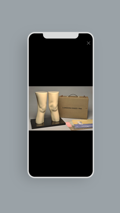 Wilhelm Hack Museum Screenshot