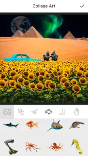 collage art - become an artist iphone screenshot 2
