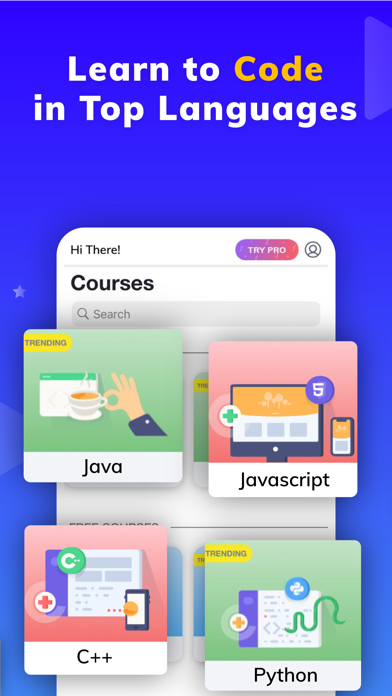 Programming Hub: Learn Coding Screenshot