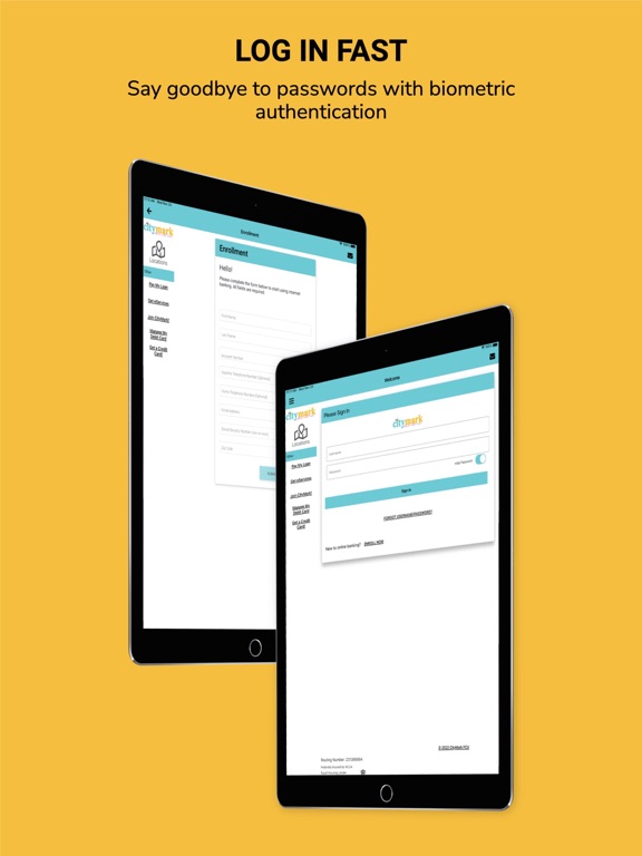 MoneyBee Mobile iPad screenshot 3 - Finance app