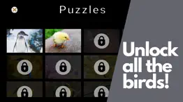 lovely bird puzzles problems & solutions and troubleshooting guide - 4