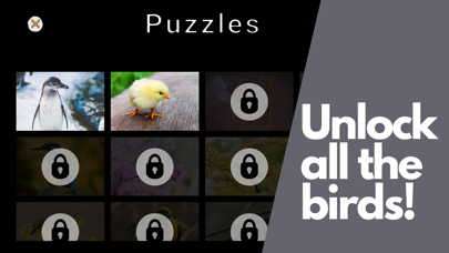 Lovely Bird Puzzlesのおすすめ画像5