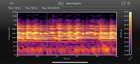 SignalScope Basic 2022 - Education App | MWM