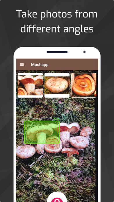 Mushrooms - AI Identifier PRO Screenshot