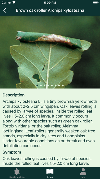 Forest Pests Screenshot