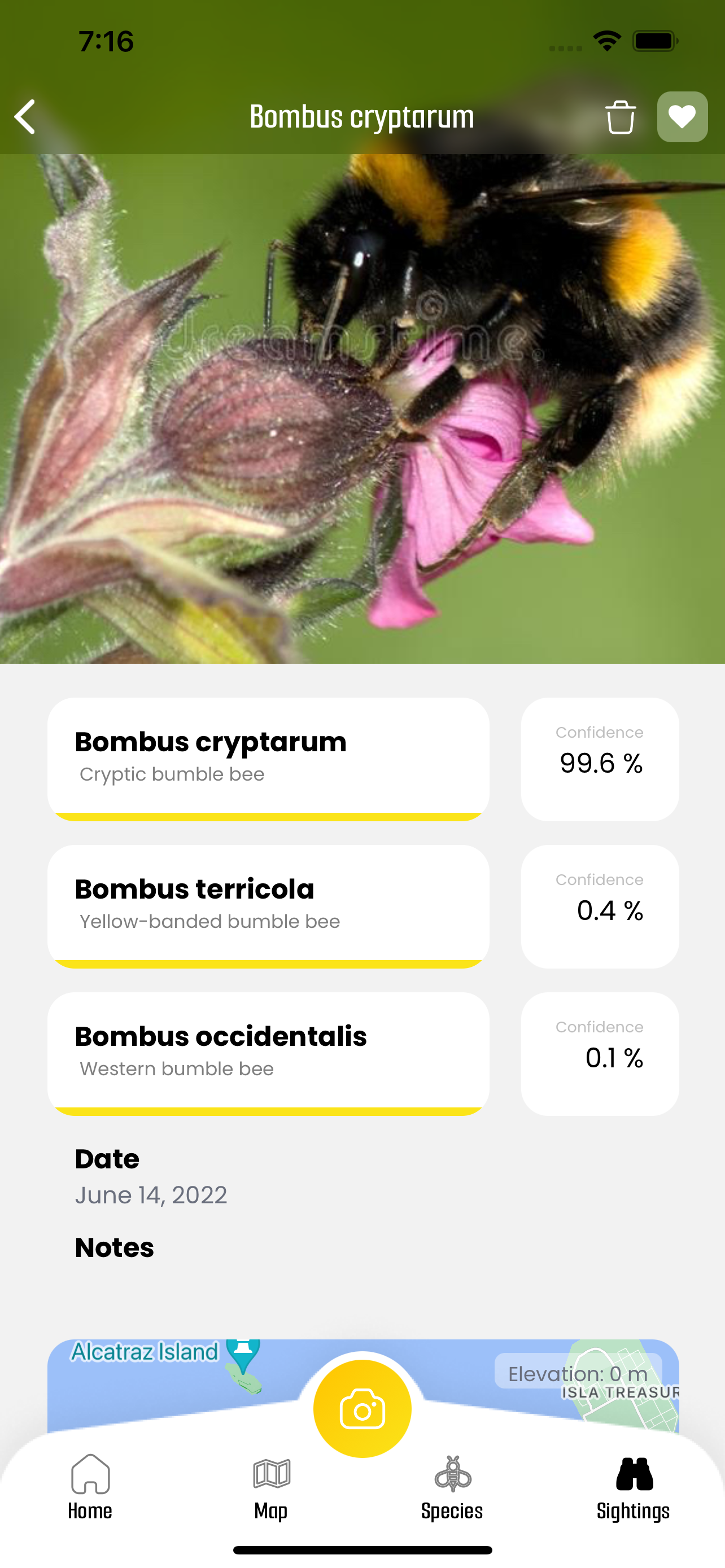 BeeMachine screenshot 3