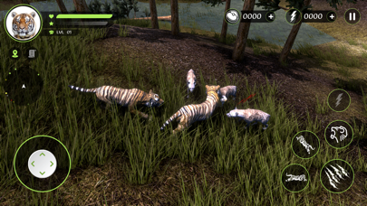 Wild Tiger Hunting Animal Life Screenshot