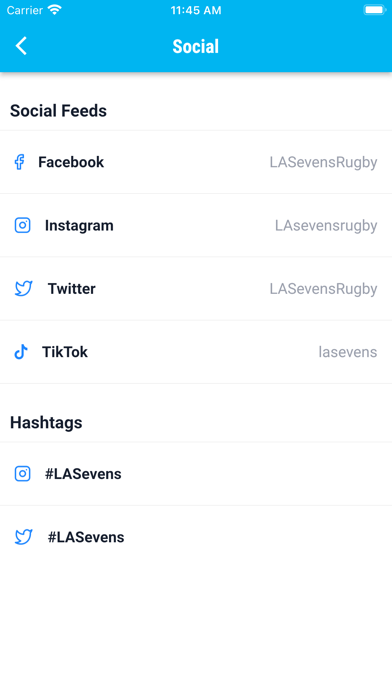 HSBC LA Sevens Screenshot