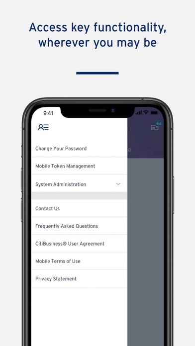 CitiBusiness® Mobile Screenshot