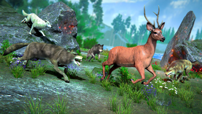 Wild Wolf Fight: Animal Games Screenshot