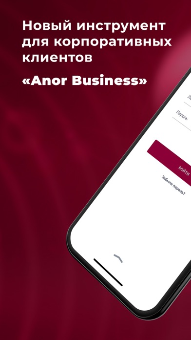 Anor Business Screenshot