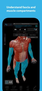 Muscles & Kinesiology screenshot #4 for iPhone