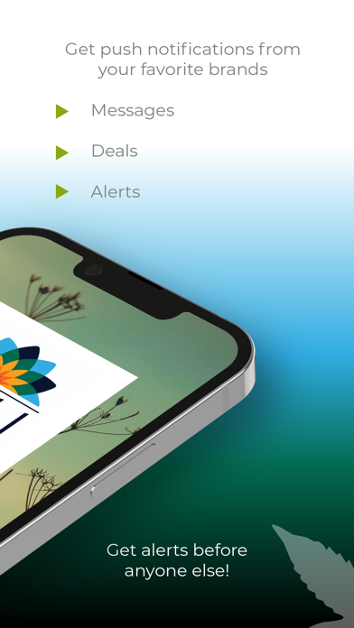 Koli Cannabis Screenshot