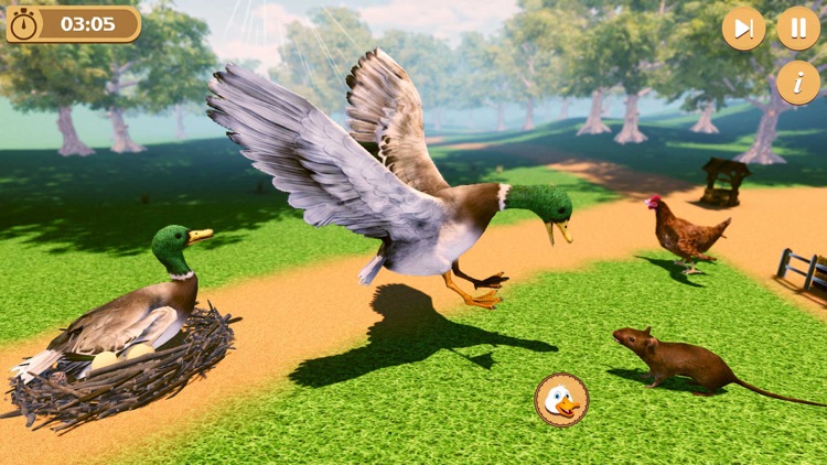 Virtual Duck Life Simulator screenshot-3