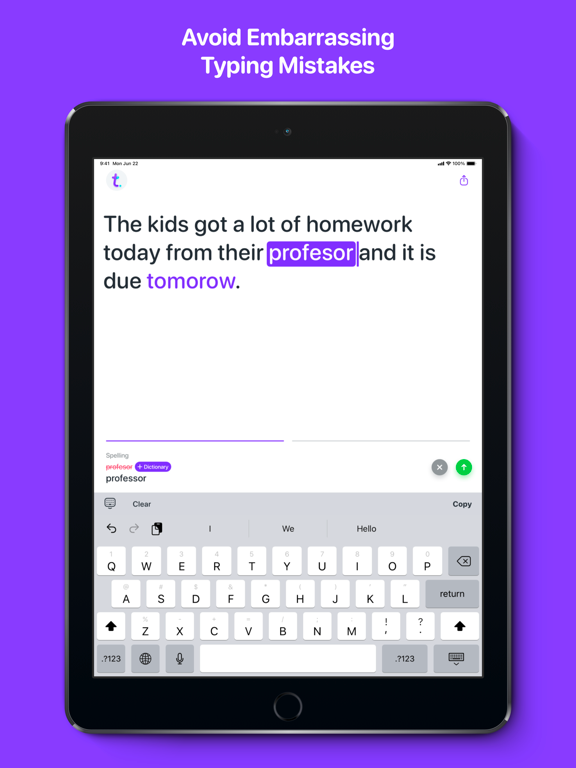 Typeright: Grammar Check App iPad screenshot 6 - Productivity app