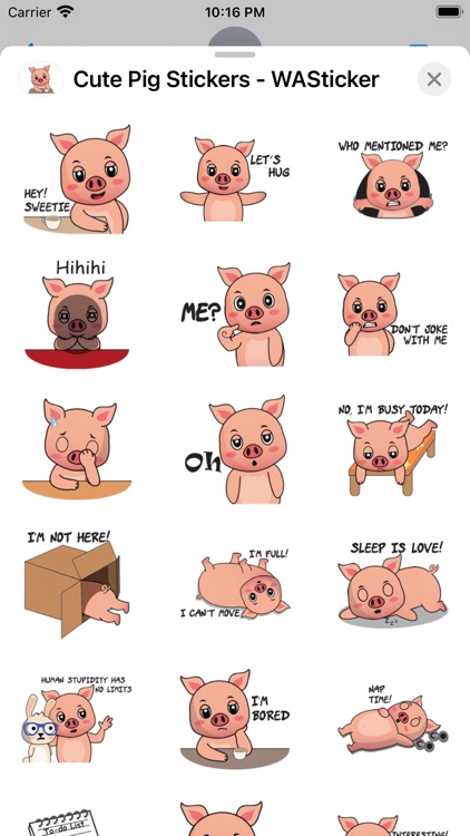 Cute Pig Stickers - WASticker by Insta‎nt D‎ig‎ital