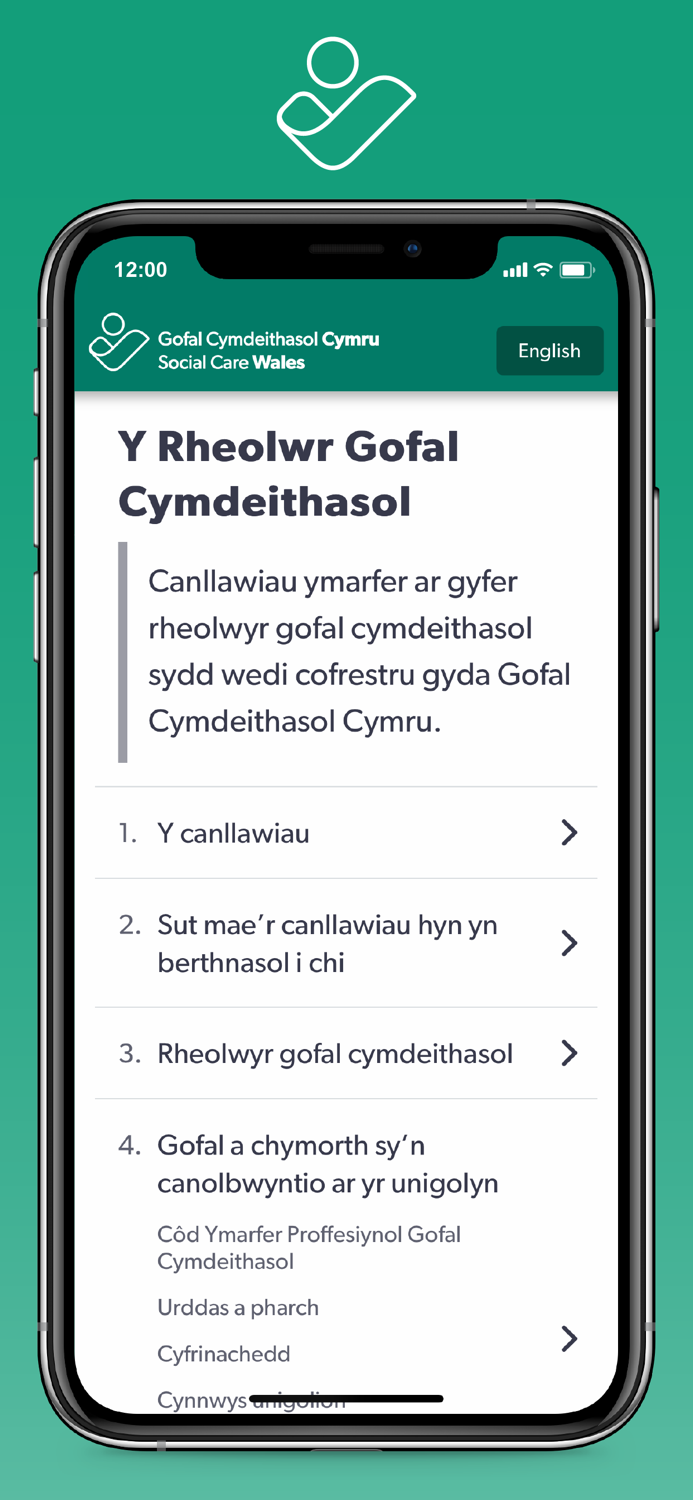 The Social Care Manager