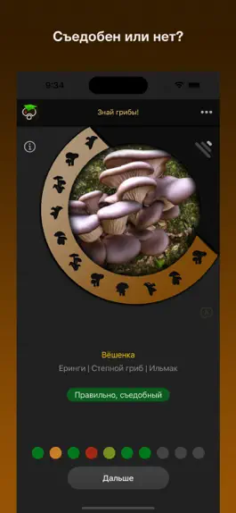 Game screenshot Знай лесные грибы! apk