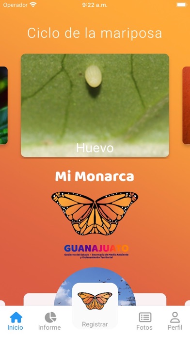 Mi monarca Screenshot