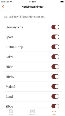 Game screenshot Skånska Dagbladet hack