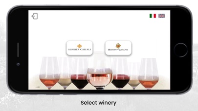 Wine Experience Screenshot