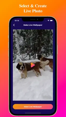 Game screenshot Video To Live Wallpapers hack