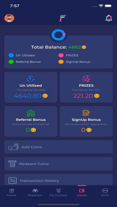 FanzLeague Screenshot