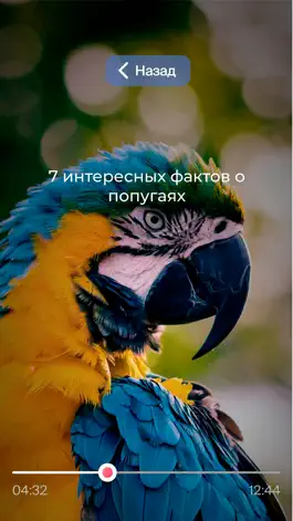 Game screenshot AR-Travel apk