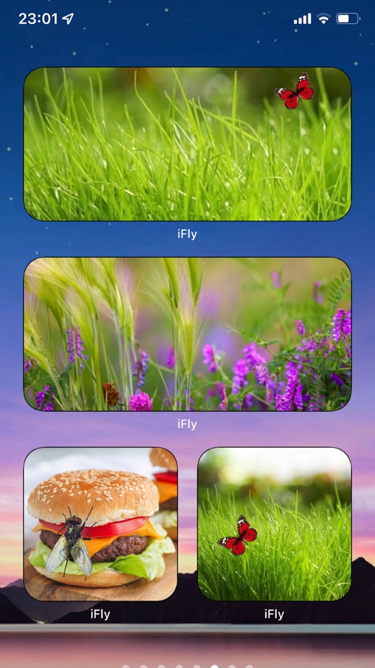 #3. iFly Widget (iOS) 由: Alexandru Serjant