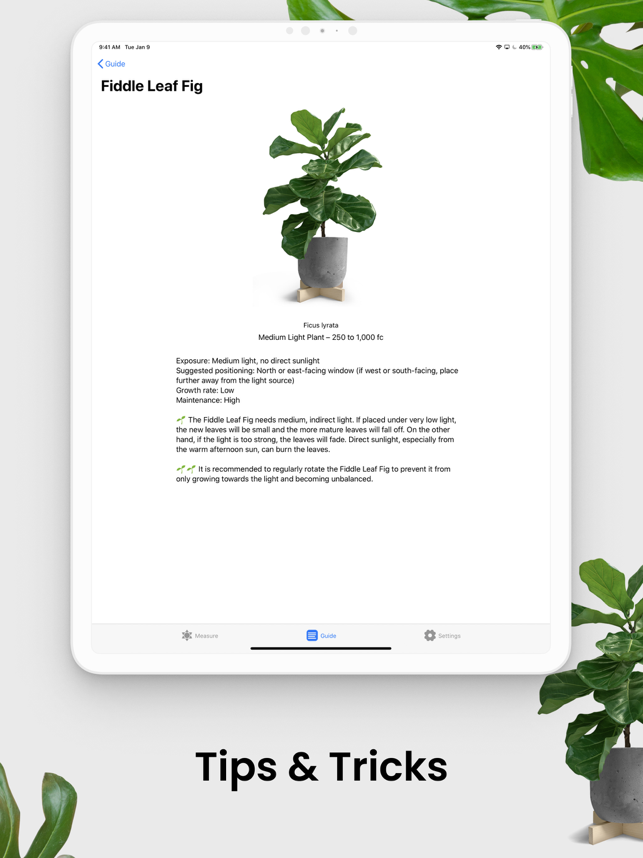 ‎Plant Light Meter Screenshot