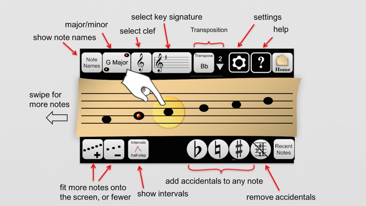 Play-my-note Lite screenshot-4