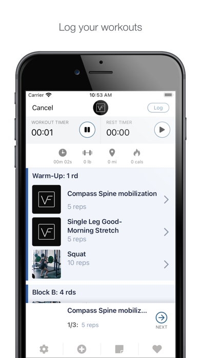 VF Movement Screenshot