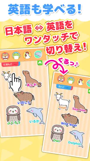 動物なあに？ - タッチ図鑑シリーズ screenshot 3