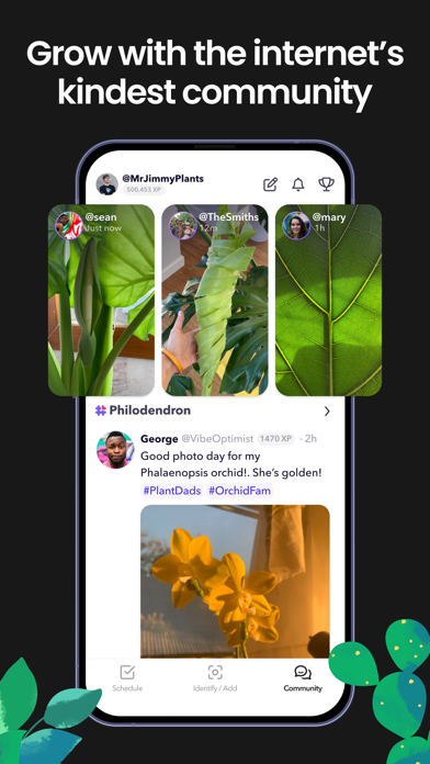 Greg - Plant Care Screenshot