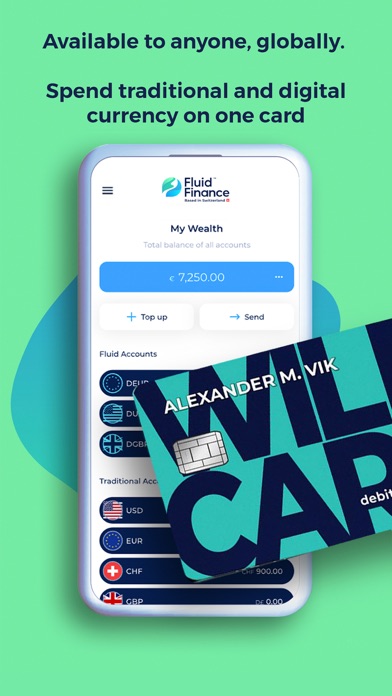 Fluid Finance: Digital Dollars screenshot 3