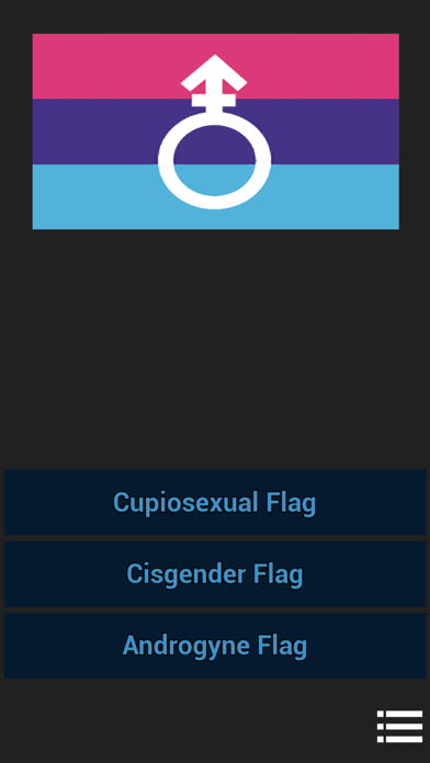 LGBTQ+ Flag Quiz by STW628 Screenshot