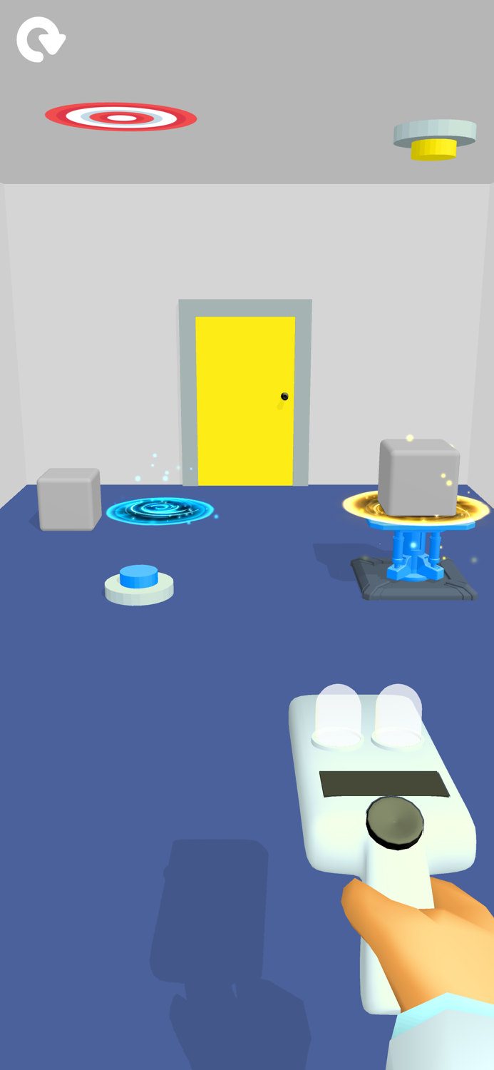 Portal Puzzle