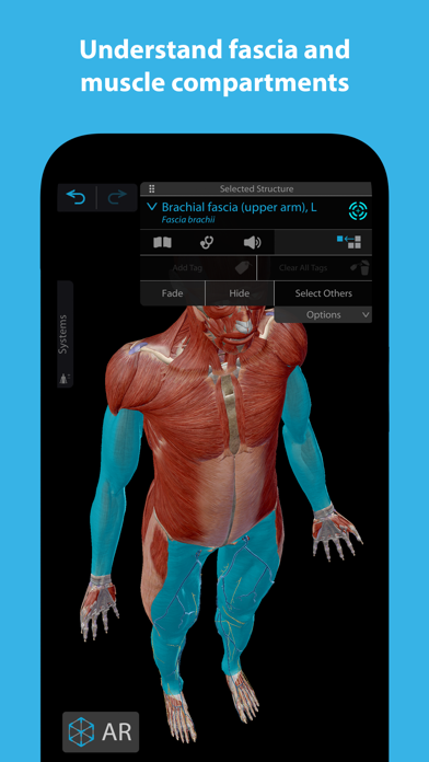 Muscles & Kinesiology Screenshot