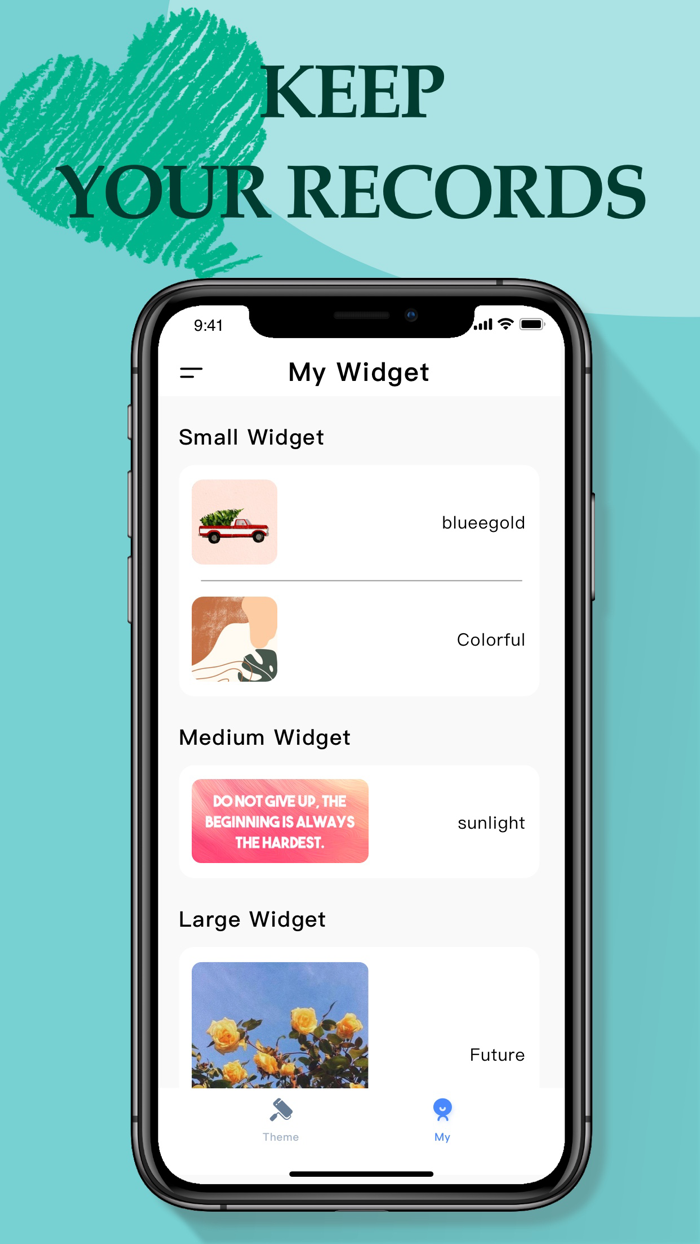 Themes Icons  Fancy Widgets