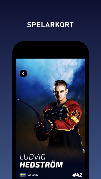 Djurgården Hockey Screenshot