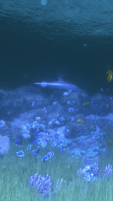 Coral Reef HD Screenshot
