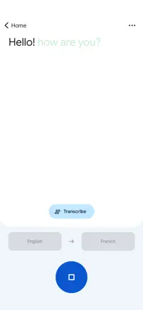Google Translate screenshot 2 of 6