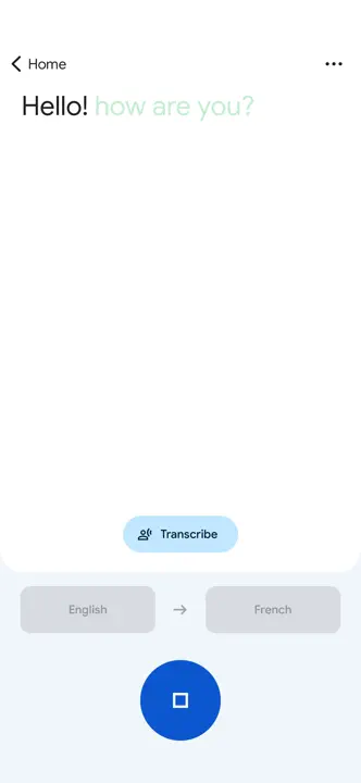 Google Translate: Screenshot 2 von 6