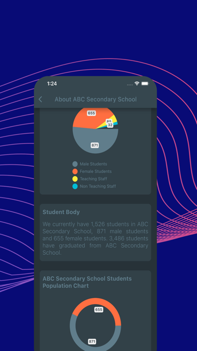 Secondary School NG Screenshot