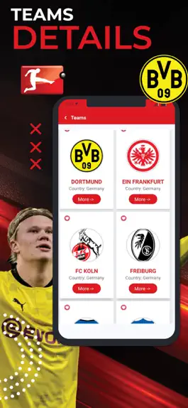 Game screenshot Live Bundesliga Football hack