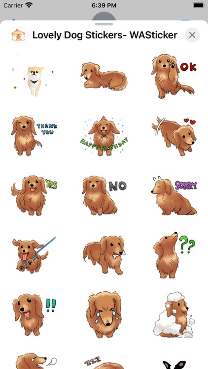 Lovely Dog Stickers- WASticker screenshot-5