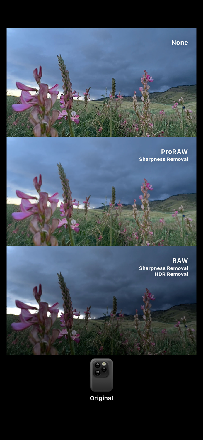 Dazz Cam - Vintage Camera