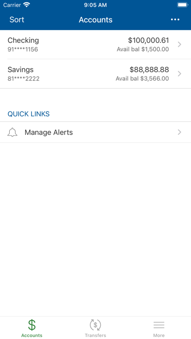 Brightview Credit Union Screenshot